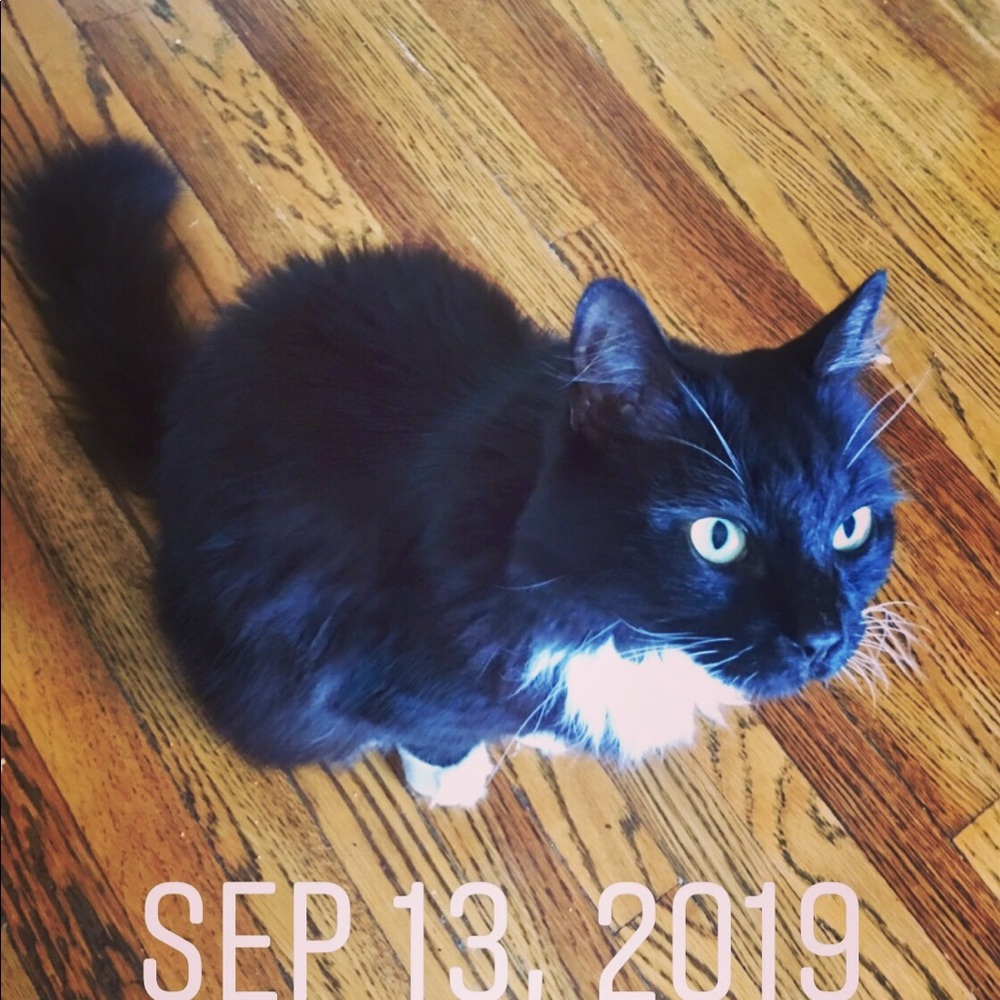 Meet your Posher, Melinda